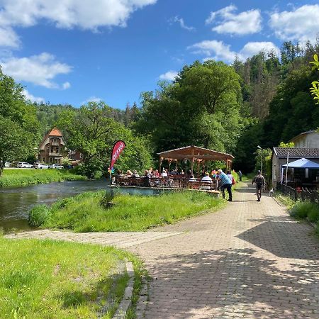 Pension Sternschnuppe, Treseburg Harz, Unmittelbar Am Wasser Thale Exterior foto